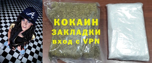 индика Алзамай