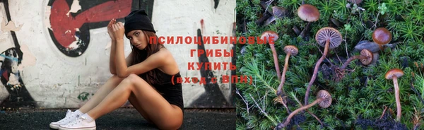 MESCALINE Михайловск